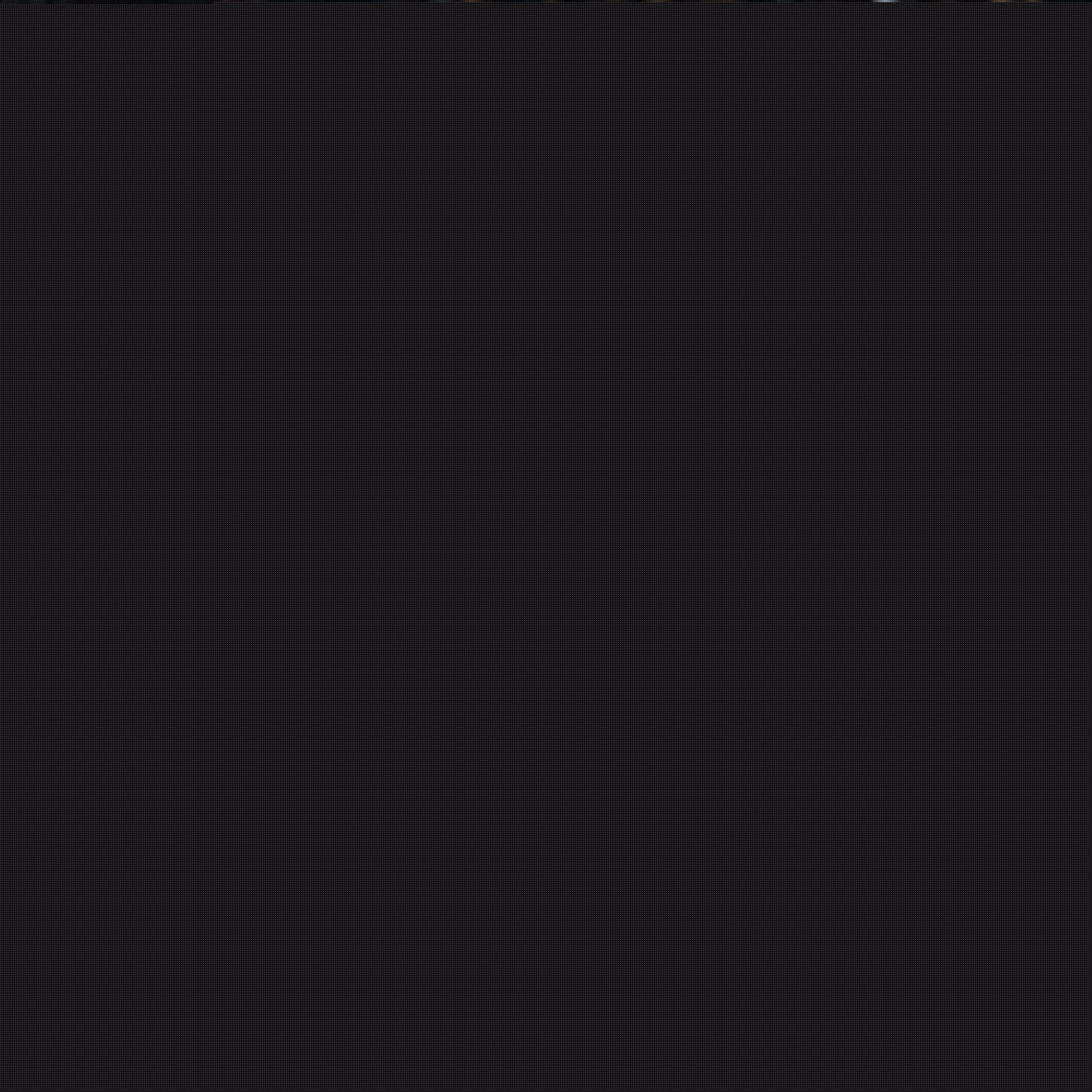 的运动员身