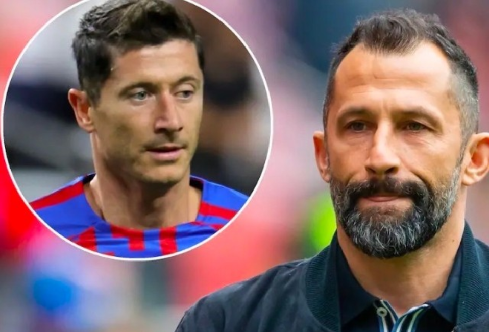 的极高肯定 的极高肯定